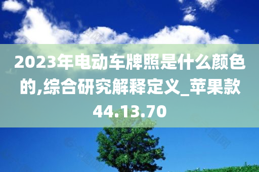 2023年电动车牌照是什么颜色的,综合研究解释定义_苹果款44.13.70