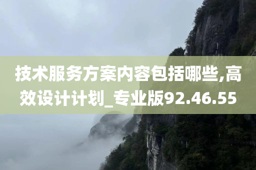 技术服务方案内容包括哪些,高效设计计划_专业版92.46.55