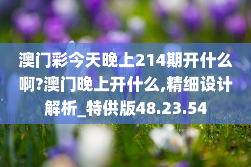 澳门彩今天晚上214期开什么啊?澳门晚上开什么,精细设计解析_特供版48.23.54