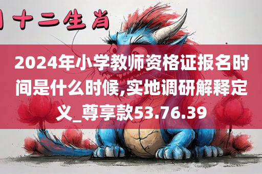 2024年小学教师资格证报名时间是什么时候,实地调研解释定义_尊享款53.76.39