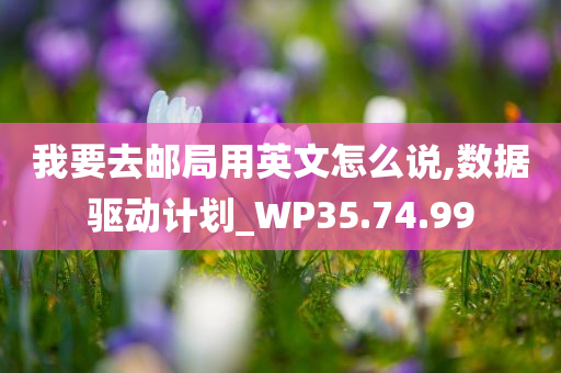 我要去邮局用英文怎么说,数据驱动计划_WP35.74.99