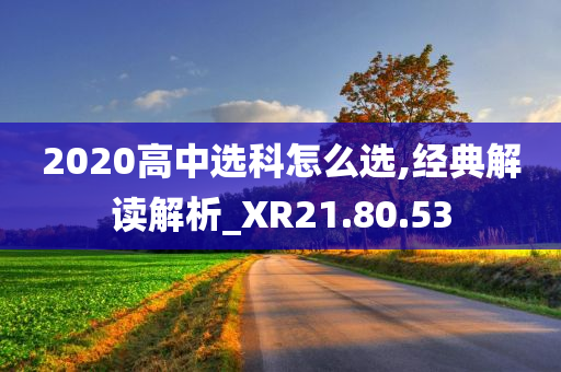 2020高中选科怎么选,经典解读解析_XR21.80.53