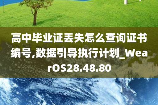 高中毕业证丢失怎么查询证书编号,数据引导执行计划_WearOS28.48.80