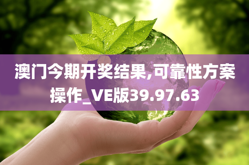 澳门今期开奖结果,可靠性方案操作_VE版39.97.63