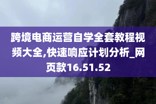 跨境电商运营自学全套教程视频大全,快速响应计划分析_网页款16.51.52