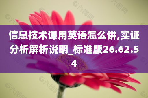 信息技术课用英语怎么讲,实证分析解析说明_标准版26.62.54