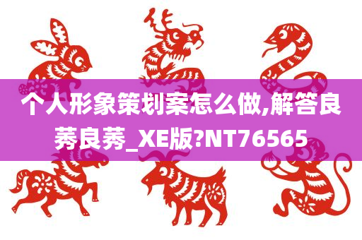 个人形象策划案怎么做,解答良莠良莠_XE版?NT76565