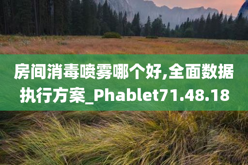 房间消毒喷雾哪个好,全面数据执行方案_Phablet71.48.18