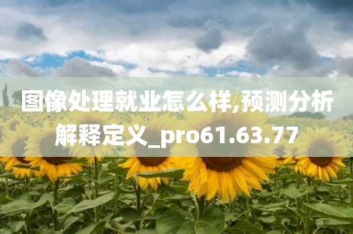 图像处理就业怎么样,预测分析解释定义_pro61.63.77