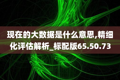 现在的大数据是什么意思,精细化评估解析_标配版65.50.73