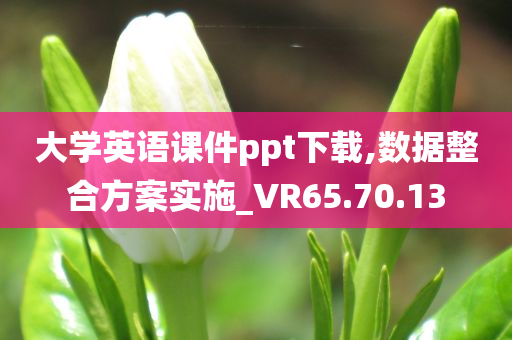 大学英语课件ppt下载,数据整合方案实施_VR65.70.13