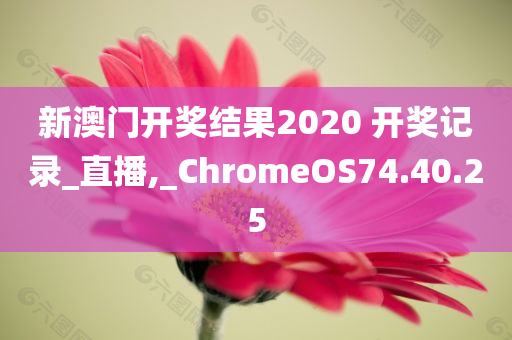 新澳门开奖结果2020 开奖记录_直播,_ChromeOS74.40.25