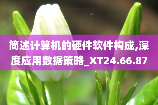 简述计算机的硬件软件构成,深度应用数据策略_XT24.66.87