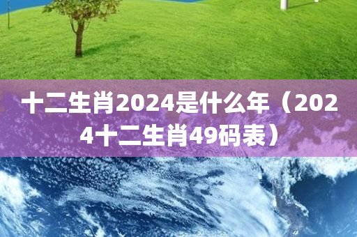 十二生肖2024是什么年（2024十二生肖49码表）