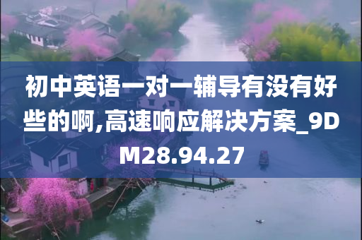 初中英语一对一辅导有没有好些的啊,高速响应解决方案_9DM28.94.27