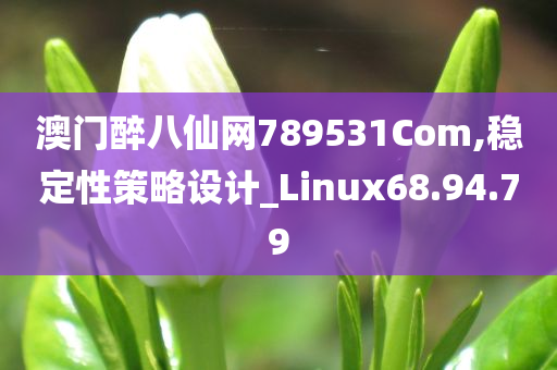 澳门醉八仙网789531Com,稳定性策略设计_Linux68.94.79