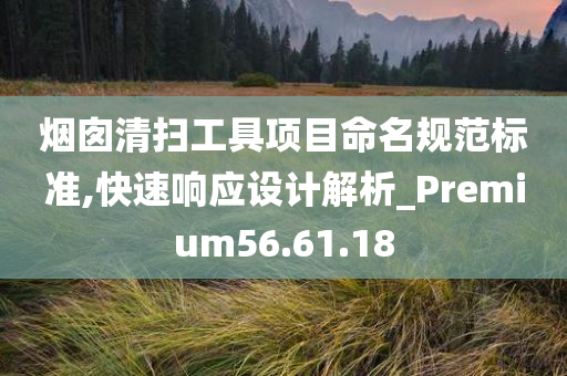 烟囱清扫工具项目命名规范标准,快速响应设计解析_Premium56.61.18