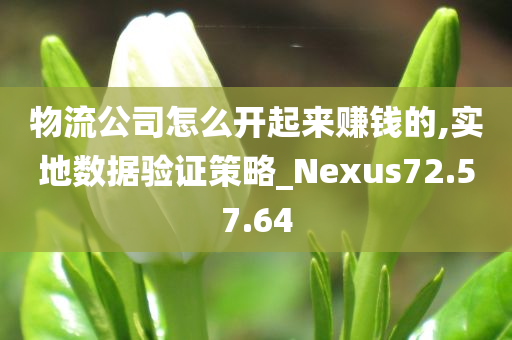 物流公司怎么开起来赚钱的,实地数据验证策略_Nexus72.57.64