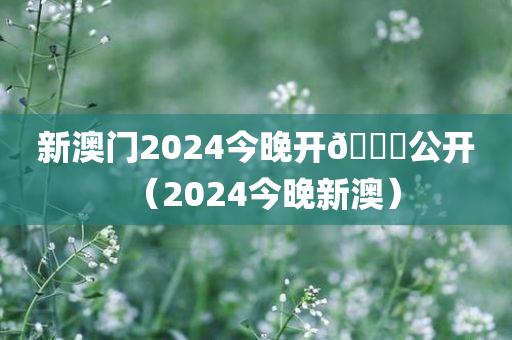 新澳门2024今晚开🐎公开（2024今晚新澳）