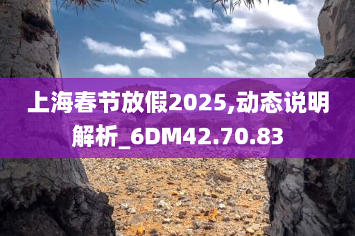 上海春节放假2025,动态说明解析_6DM42.70.83