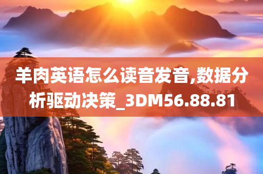 羊肉英语怎么读音发音,数据分析驱动决策_3DM56.88.81