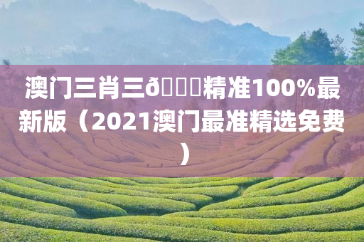 澳门三肖三🐎精准100%最新版（2021澳门最准精选免费）