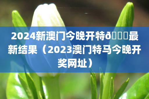 2024新澳门今晚开特🐎最新结果（2023澳门特马今晚开奖网址）