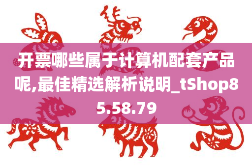 开票哪些属于计算机配套产品呢,最佳精选解析说明_tShop85.58.79