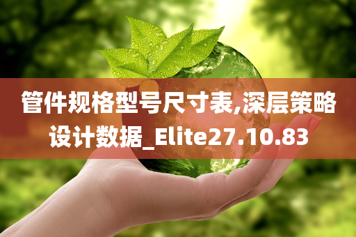 管件规格型号尺寸表,深层策略设计数据_Elite27.10.83