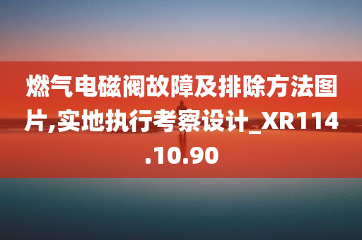 燃气电磁阀故障及排除方法图片,实地执行考察设计_XR114.10.90