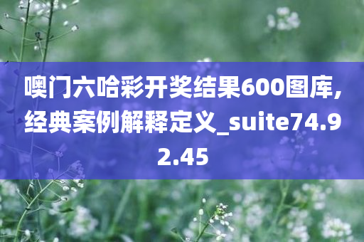 噢门六哈彩开奖结果600图库,经典案例解释定义_suite74.92.45