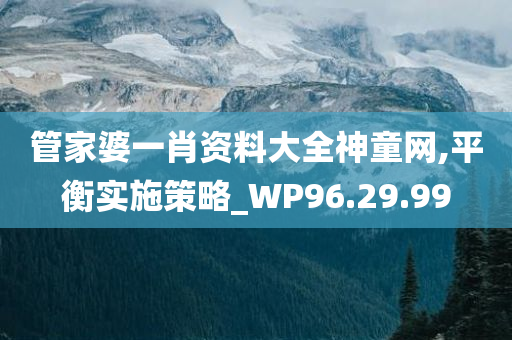 管家婆一肖资料大全神童网,平衡实施策略_WP96.29.99