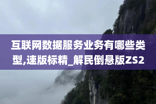 互联网数据服务业务有哪些类型,速版标精_解民倒悬版ZS2