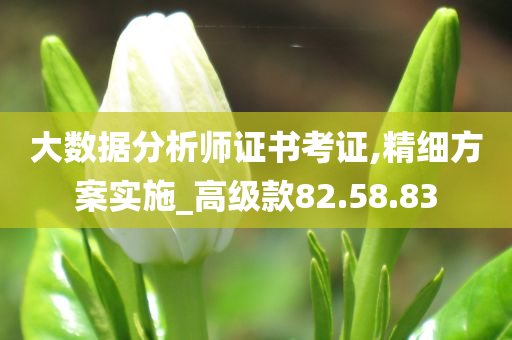 大数据分析师证书考证,精细方案实施_高级款82.58.83