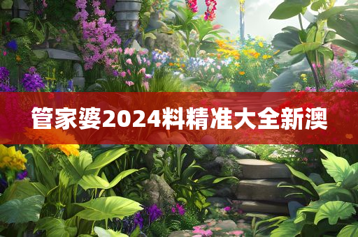 管家婆2024料精准大全新澳