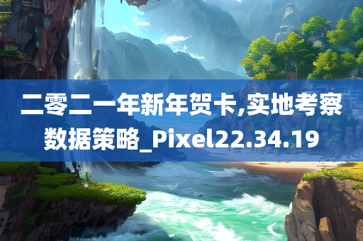 二零二一年新年贺卡,实地考察数据策略_Pixel22.34.19