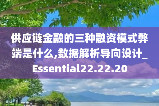 供应链金融的三种融资模式弊端是什么,数据解析导向设计_Essential22.22.20