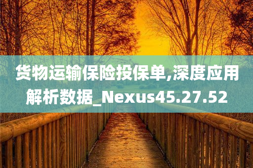 货物运输保险投保单,深度应用解析数据_Nexus45.27.52