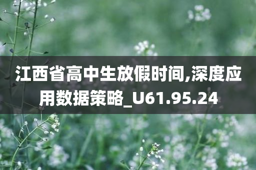 江西省高中生放假时间,深度应用数据策略_U61.95.24