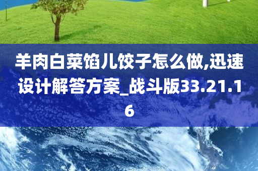 羊肉白菜馅儿饺子怎么做,迅速设计解答方案_战斗版33.21.16