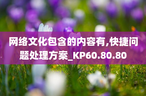 网络文化包含的内容有,快捷问题处理方案_KP60.80.80