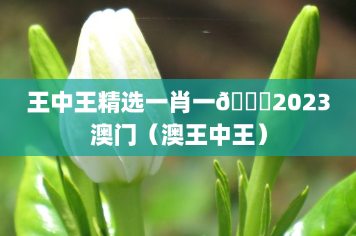 王中王精选一肖一🐎2023澳门（澳王中王）