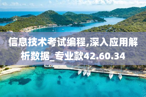 信息技术考试编程,深入应用解析数据_专业款42.60.34