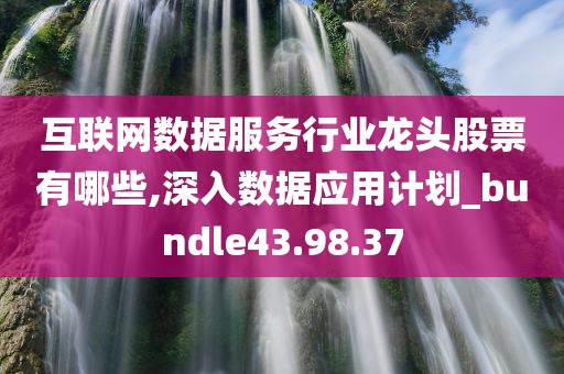 互联网数据服务行业龙头股票有哪些,深入数据应用计划_bundle43.98.37