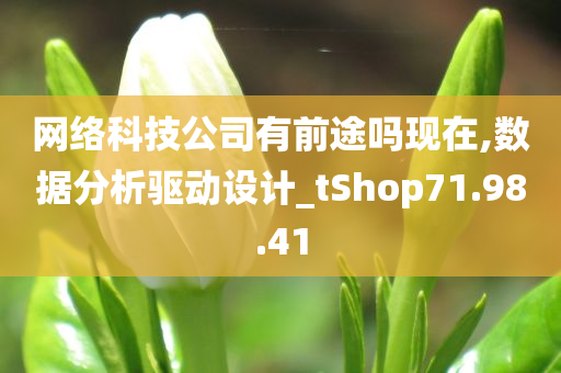 网络科技公司有前途吗现在,数据分析驱动设计_tShop71.98.41