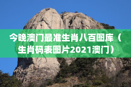 今晚澳门最准生肖八百图库（生肖码表图片2021澳门）