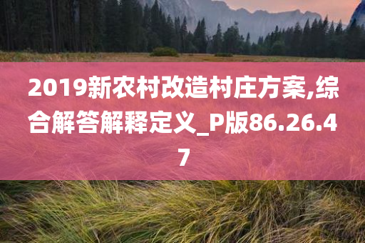 2019新农村改造村庄方案,综合解答解释定义_P版86.26.47