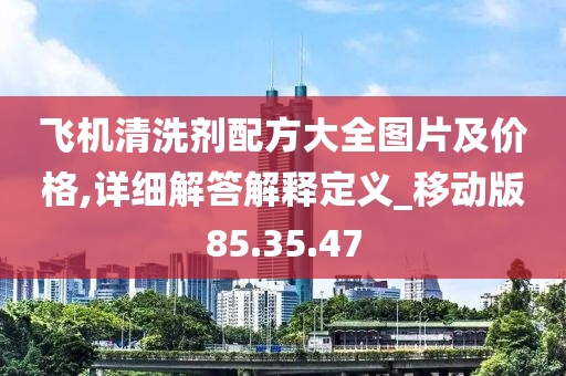 飞机清洗剂配方大全图片及价格,详细解答解释定义_移动版85.35.47