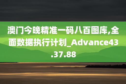 澳门今晚精准一码八百图库,全面数据执行计划_Advance43.37.88