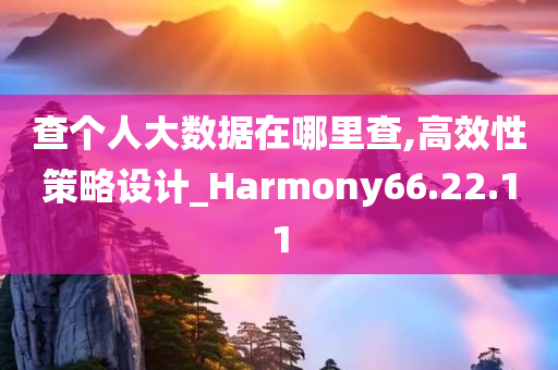 查个人大数据在哪里查,高效性策略设计_Harmony66.22.11